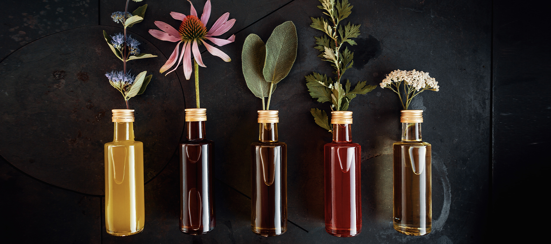 Eau de Parfum, Explained: Concentration, Longevity & the Mark of a Serious Fragrance