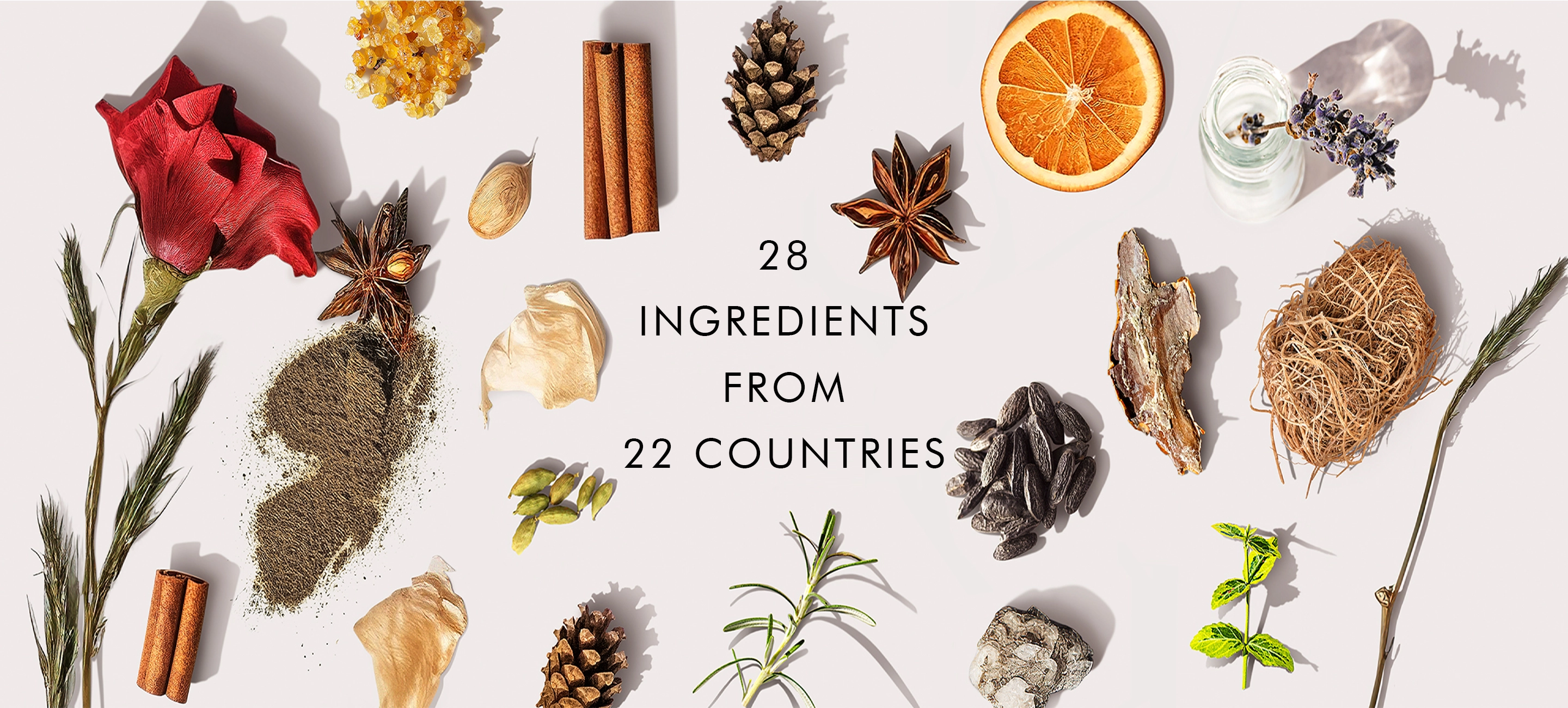 28 ingredients from 22 countries